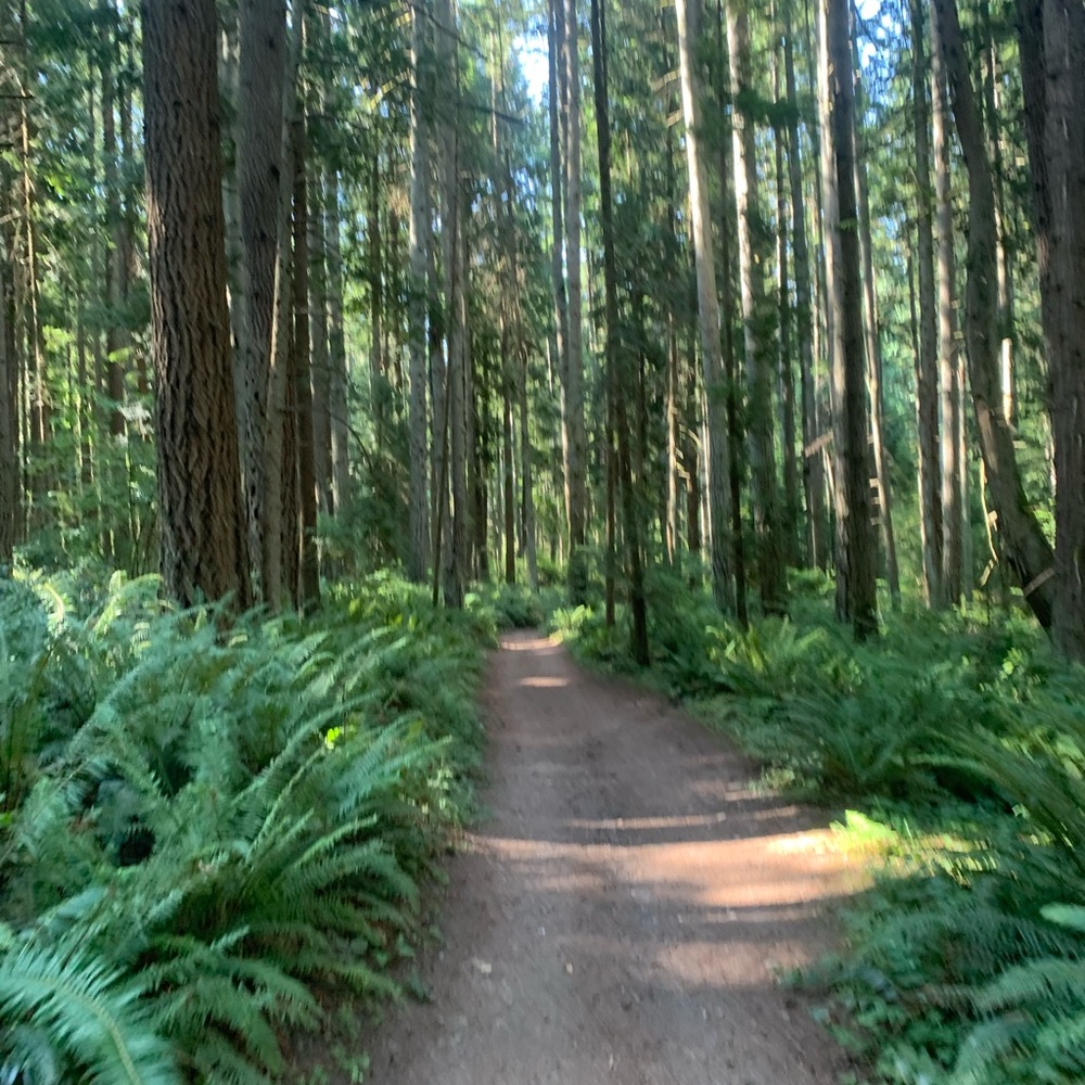 Headed to post office in 10 minutes - OFFER NOW